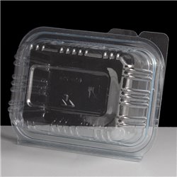 250cc Hinged Salad Container Clear