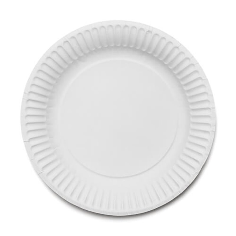 9" Paper Plate