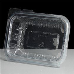 250cc Hinged Salad Container Clear
